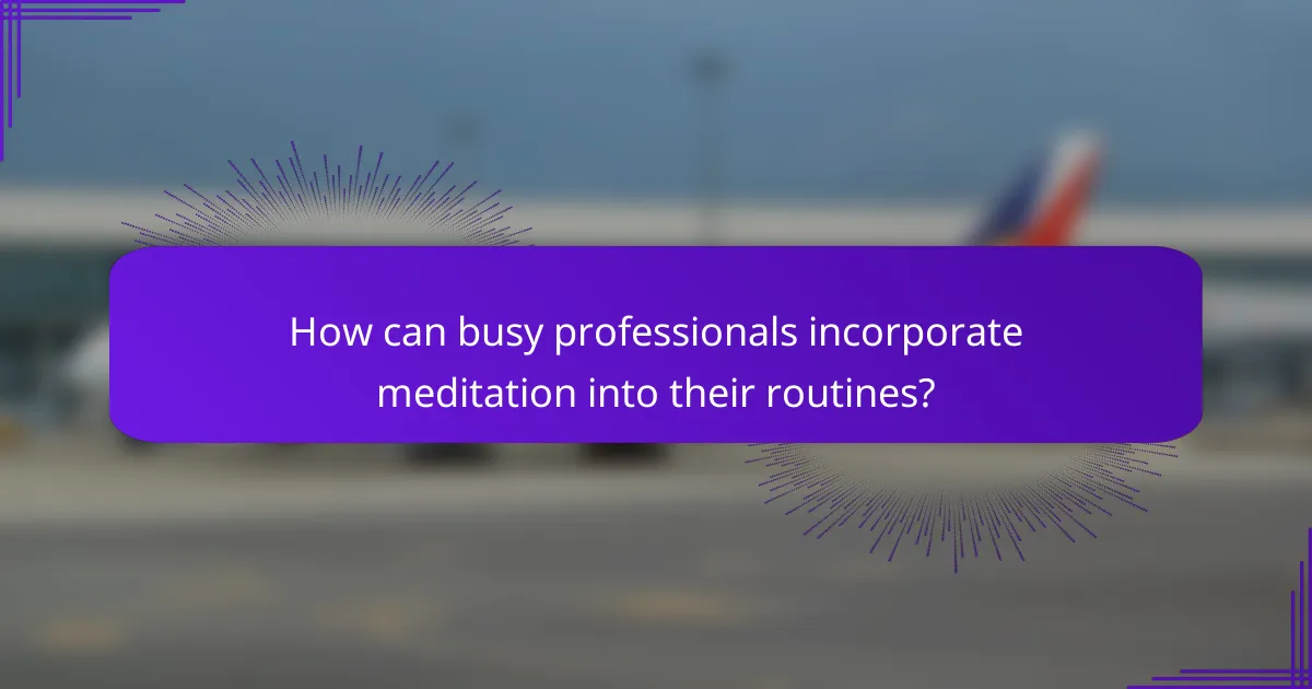 How can busy professionals incorporate meditation into their routines?