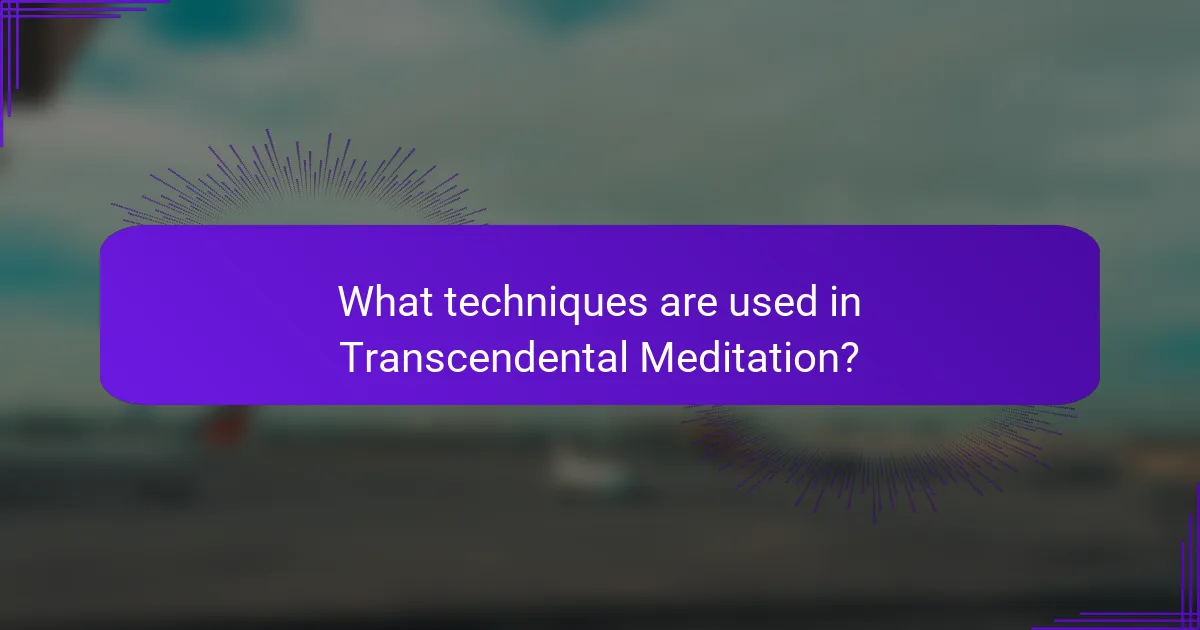 What techniques are used in Transcendental Meditation?