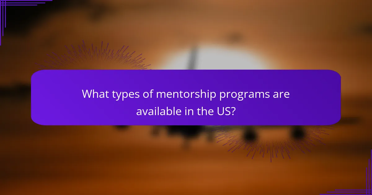 What types of mentorship programs are available in the US?
